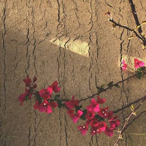 تو دل منی و تو دلتم من اصن کو دل تنگم من با همه تو اخم